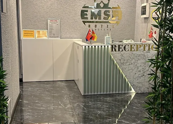 Emsa Maltepedeki Eviniz 2*